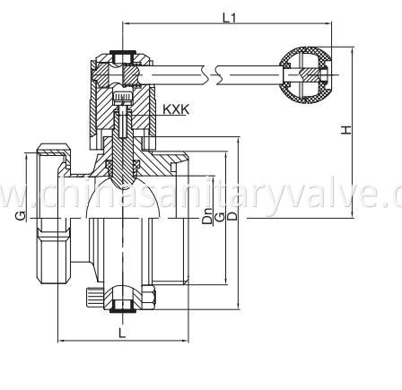 sanitary butterfly valves male and nut end DIN